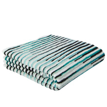 Load image into Gallery viewer, MISSONI ARPEGGIO 701 HAND TOWEL 70X40