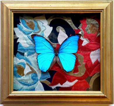 Morpho Butterfly Artwork