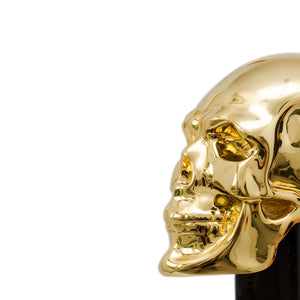 Pasotti Walking Stick - Gold Skull