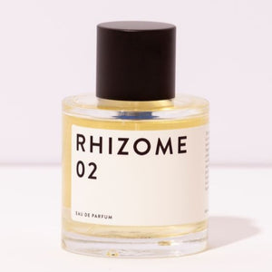 Rhizome 02
